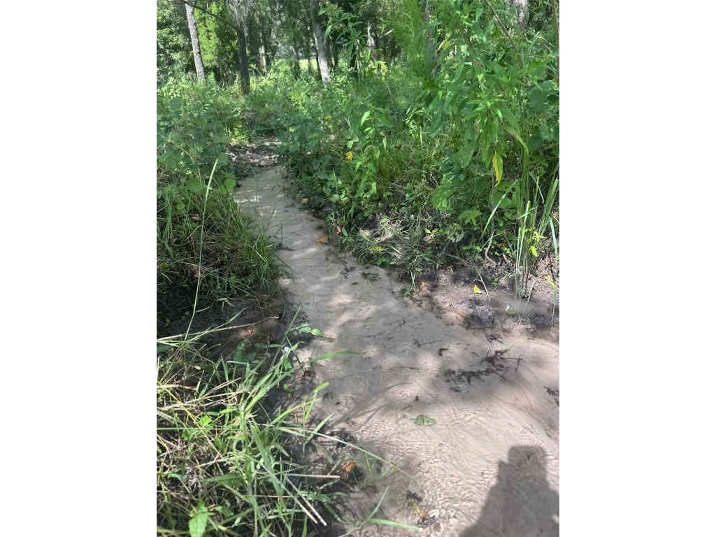 36641 Blanton Road Dade City FL 33523 TB8416703 image70