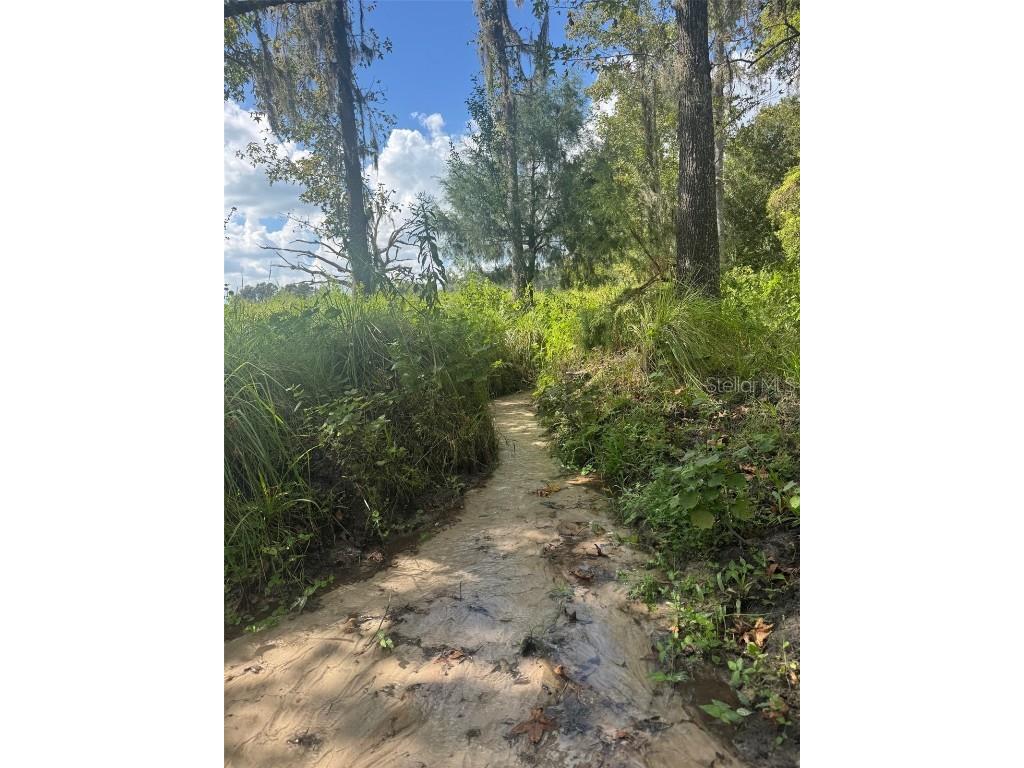 36641 Blanton Road Dade City FL 33523 TB8416703 image71