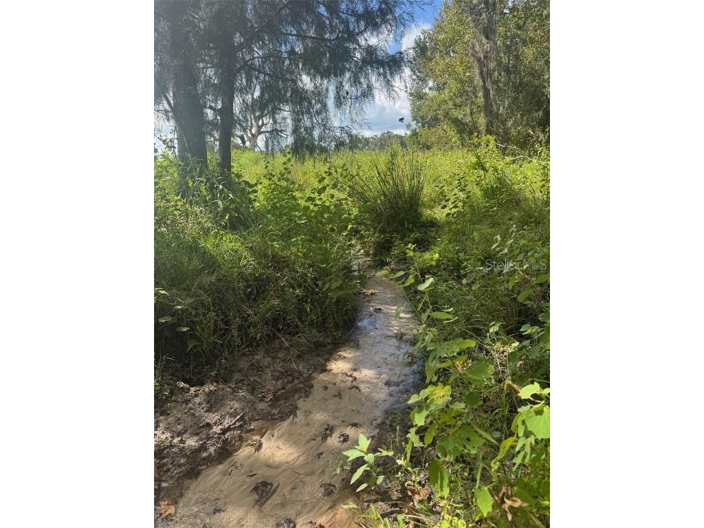 36641 Blanton Road Dade City FL 33523 TB8416703 image72