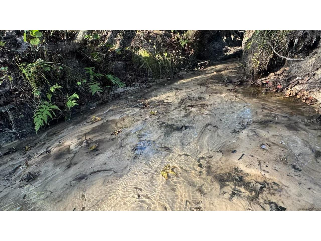 36641 Blanton Road Dade City FL 33523 TB8416703 image73