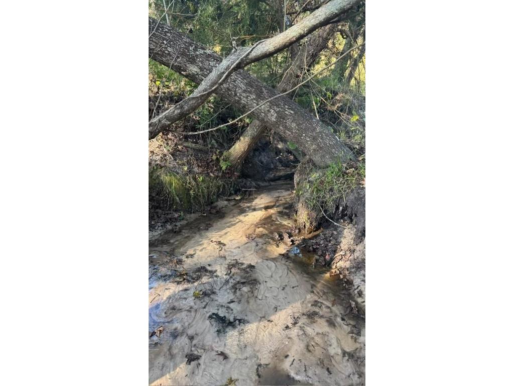 36641 Blanton Road Dade City FL 33523 TB8416703 image74