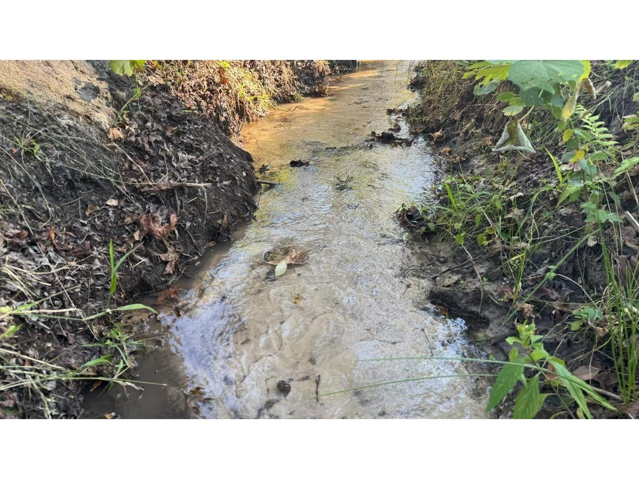 36641 Blanton Road Dade City FL 33523 TB8416703 image75