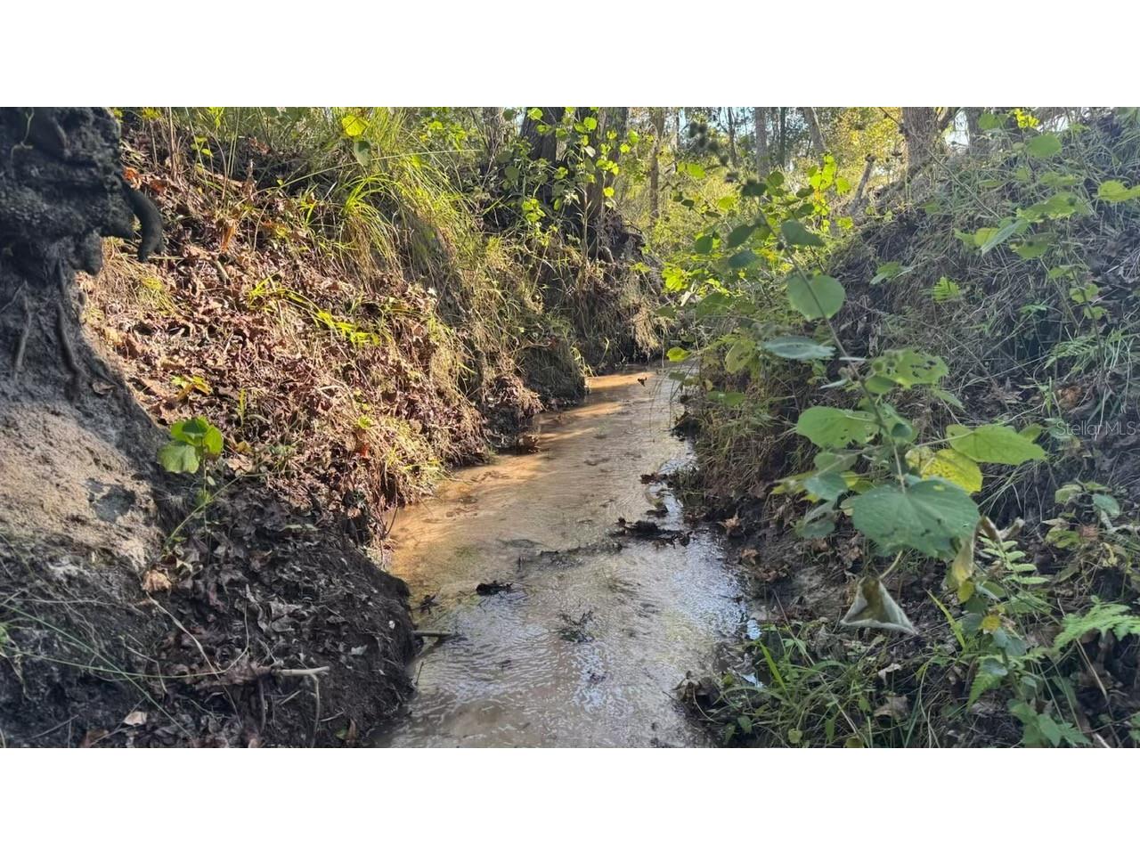 36641 Blanton Road Dade City FL 33523 TB8416703 image76