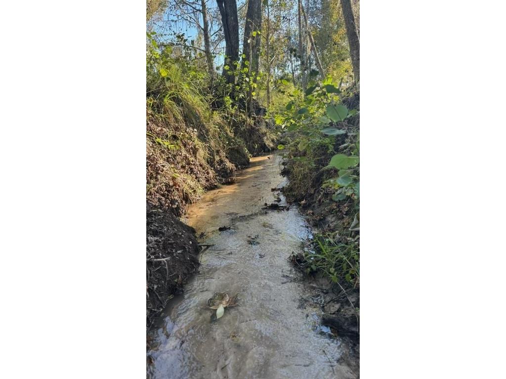 36641 Blanton Road Dade City FL 33523 TB8416703 image77