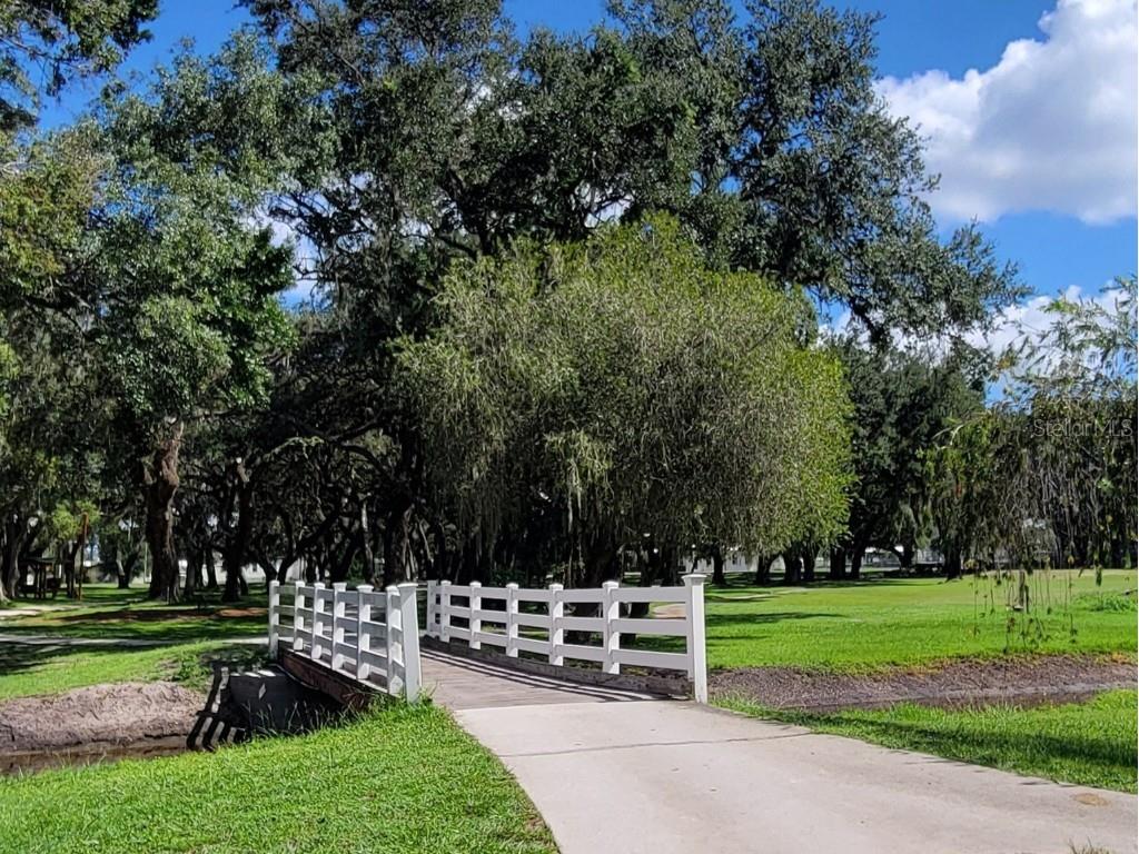 36645 Kay Avenue Zephyrhills FL 33542 TB8418541 image28