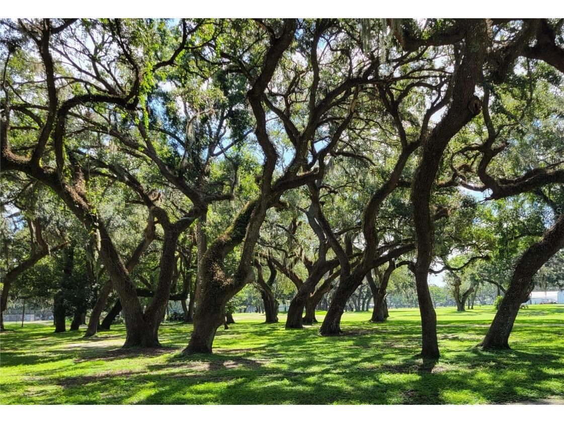 36645 Kay Avenue Zephyrhills FL 33542 TB8418541 image45