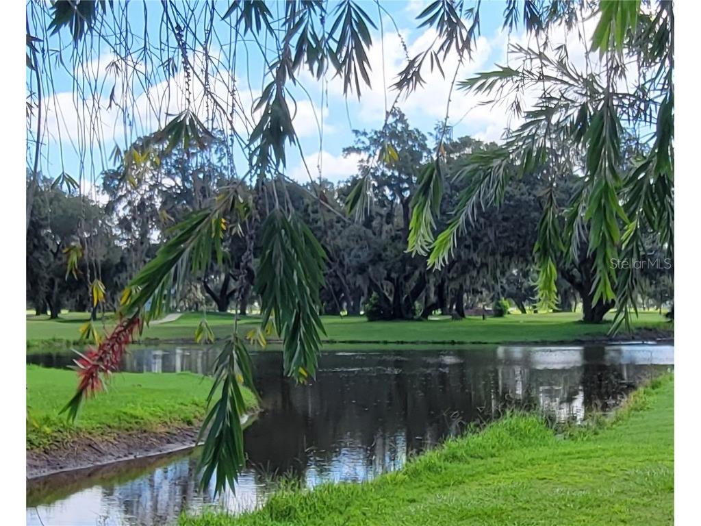 36645 Kay Avenue Zephyrhills FL 33542 TB8418541 image53