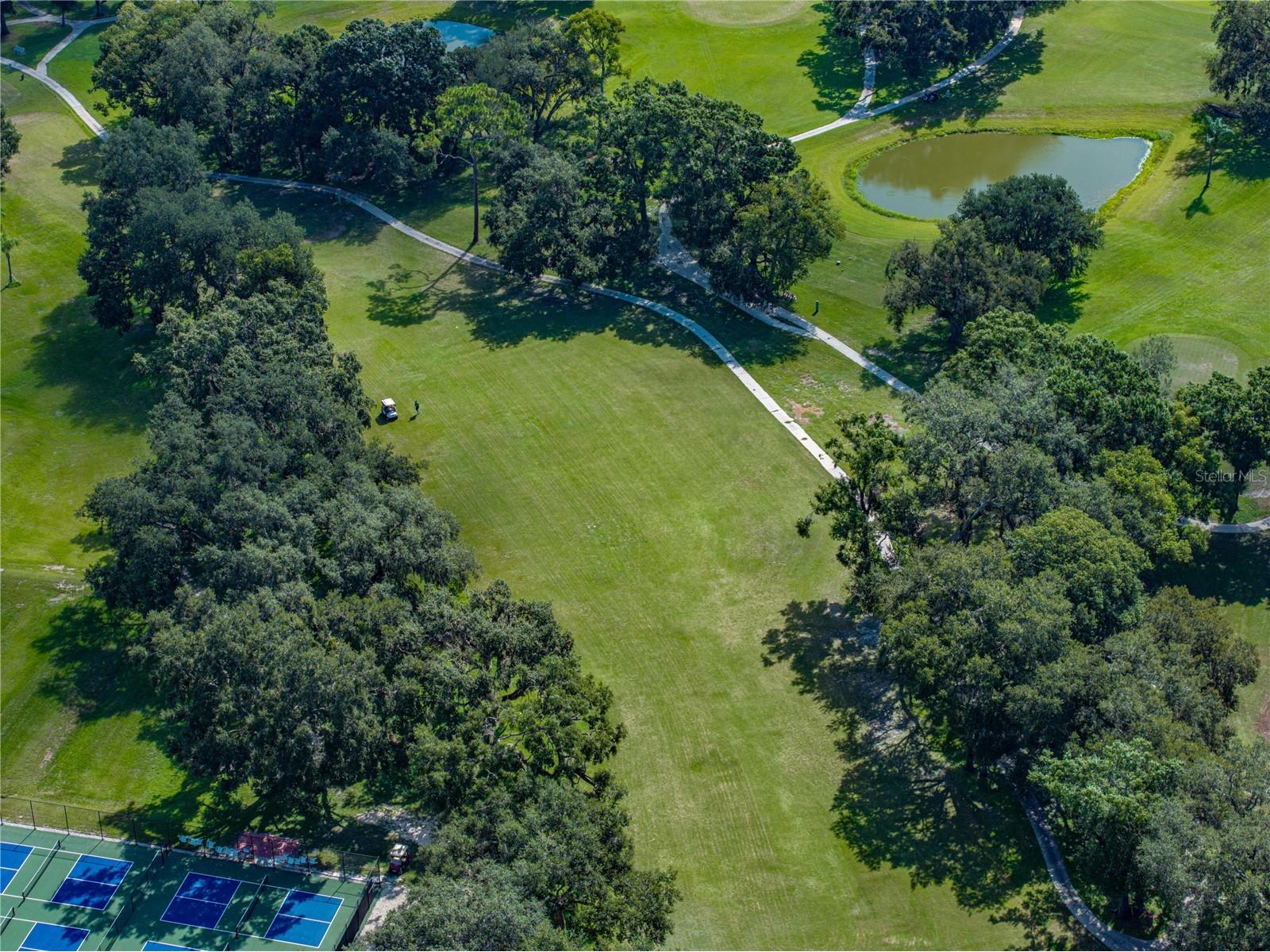 36645 Kay Avenue Zephyrhills FL 33542 TB8418541 image60