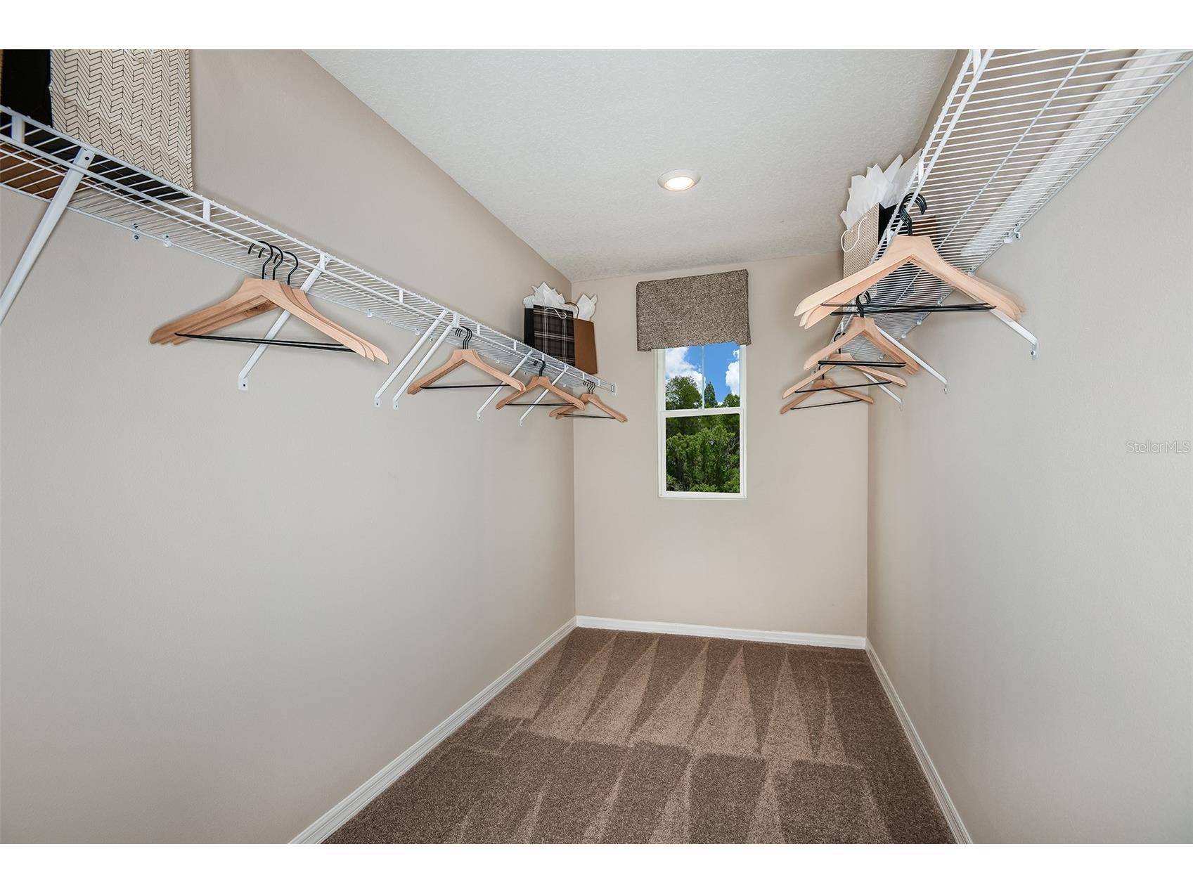 36645 Sagemoor Drive Zephyrhills FL 33541 TB8495688 image6
