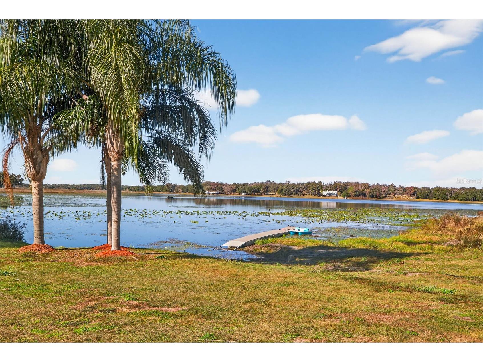 36649 Covington Road Dade City FL 33525 TB8466998 image4