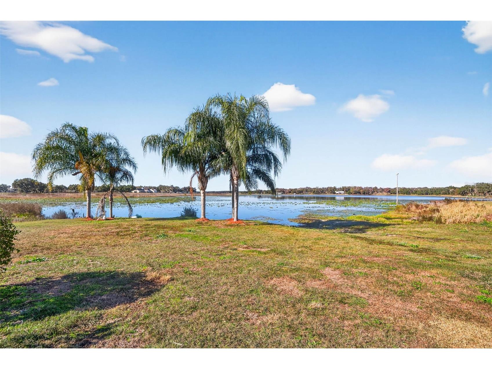 36649 Covington Road Dade City FL 33525 TB8466998 image53