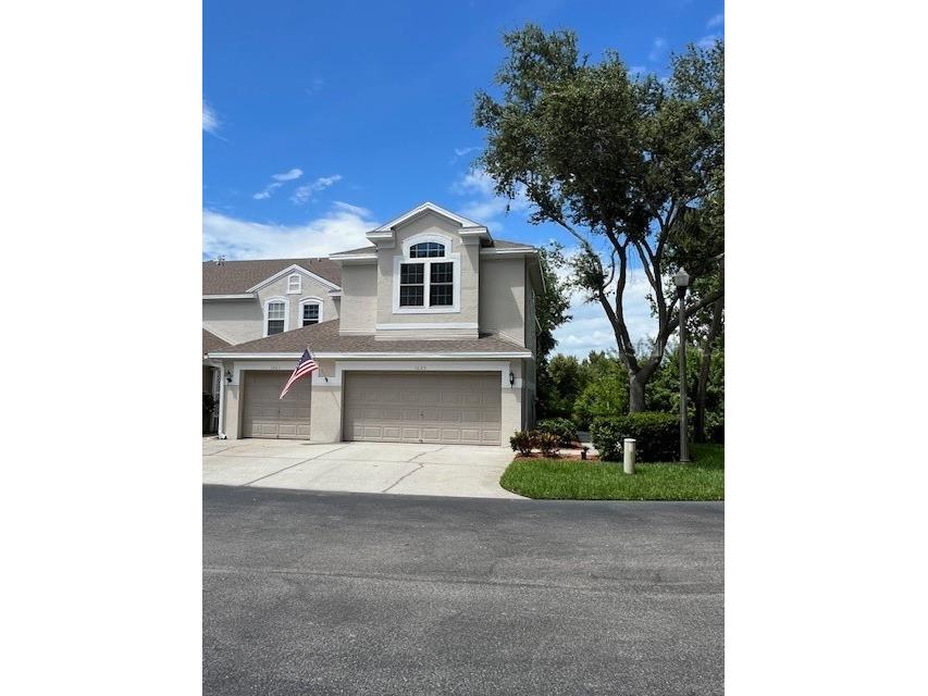 3665 Country Pointe Place Palm Harbor FL 34684 TB8400056 image1