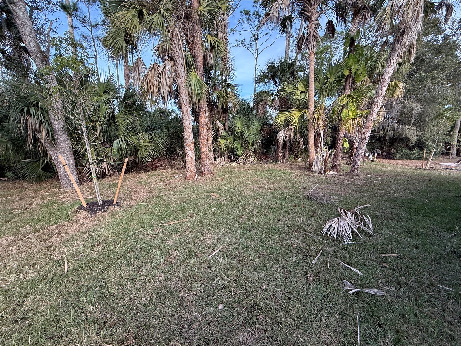 3665 N Cranberry Boulevard North Port FL 34286 A4680464 image33