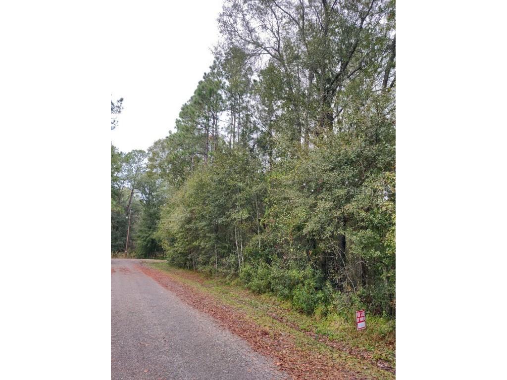 3665 SE 139th Ste Starke FL 32091 A4590565 image1