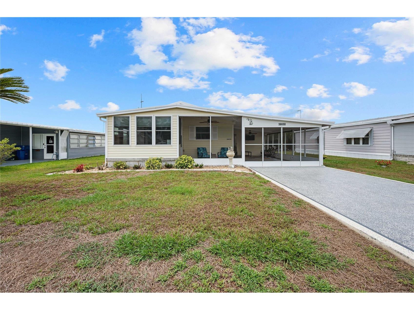 36650 Dina Drive Zephyrhills FL 33542 TB8509697 image1