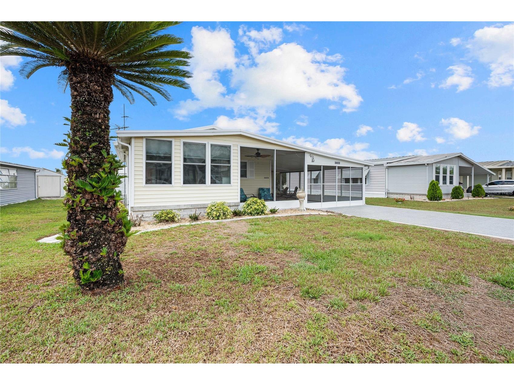 36650 Dina Drive Zephyrhills FL 33542 TB8509697 image2