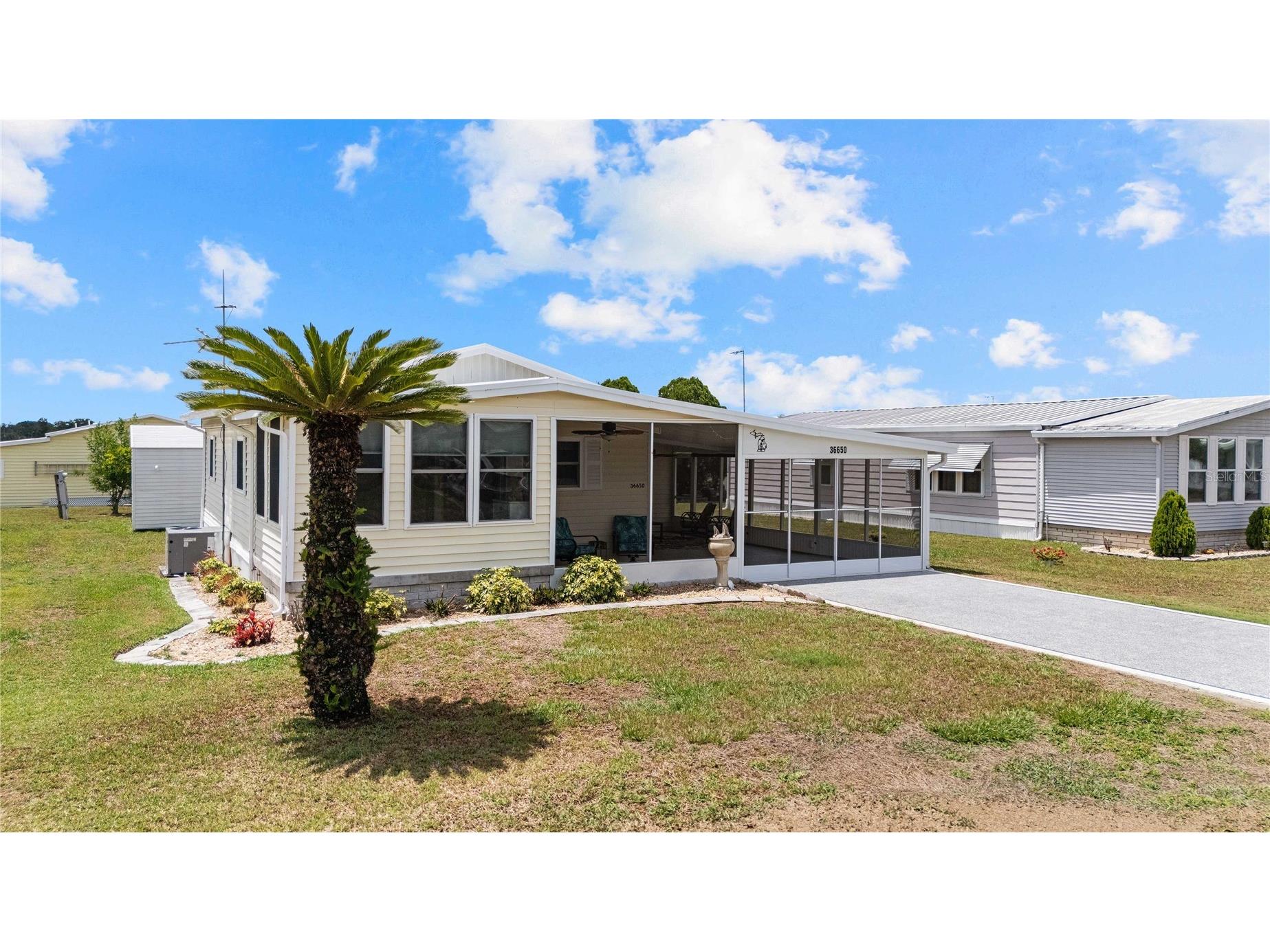 36650 Dina Drive Zephyrhills FL 33542 TB8509697 image63