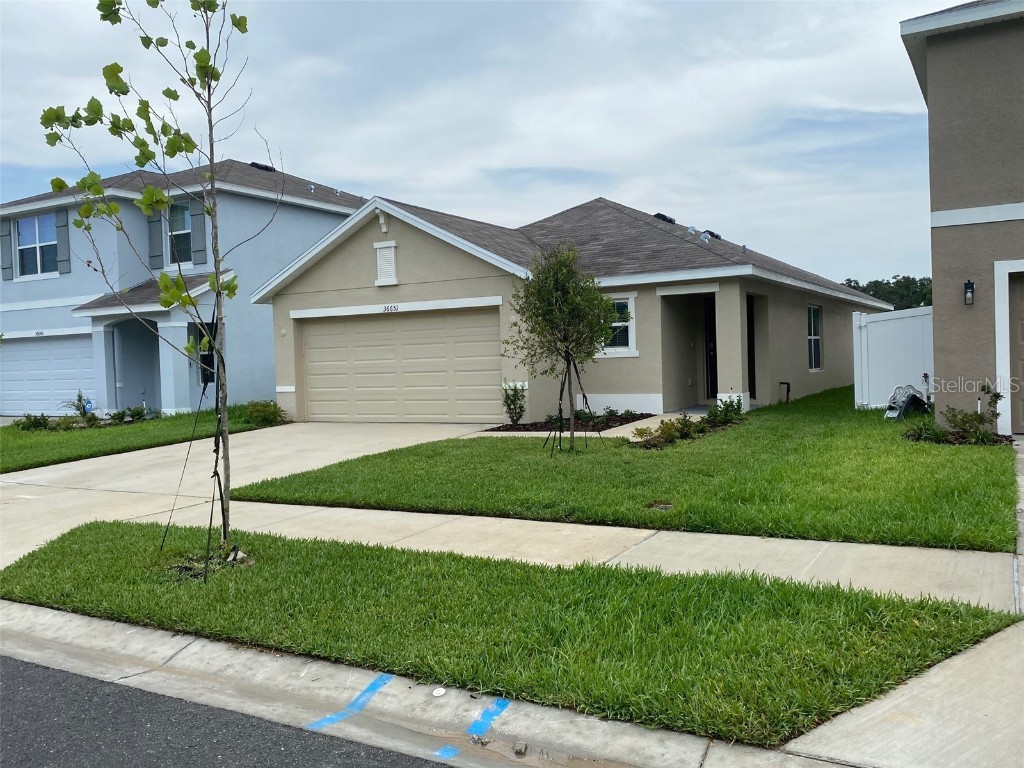 36651 Spanish Rose Drive Dade City FL 33525 T3459700 image1