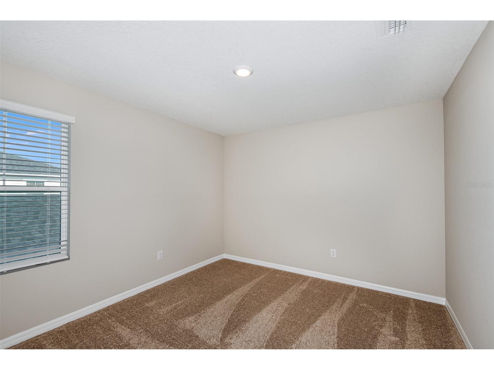 36659 Sagemoor Drive Zephyrhills FL 33541 TB8483985 image19