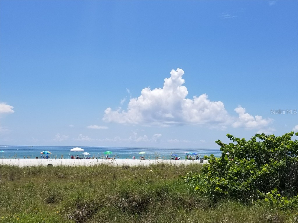 3666 Belle Vista Drive E Saint Pete Beach FL 33706 U8183016 image18