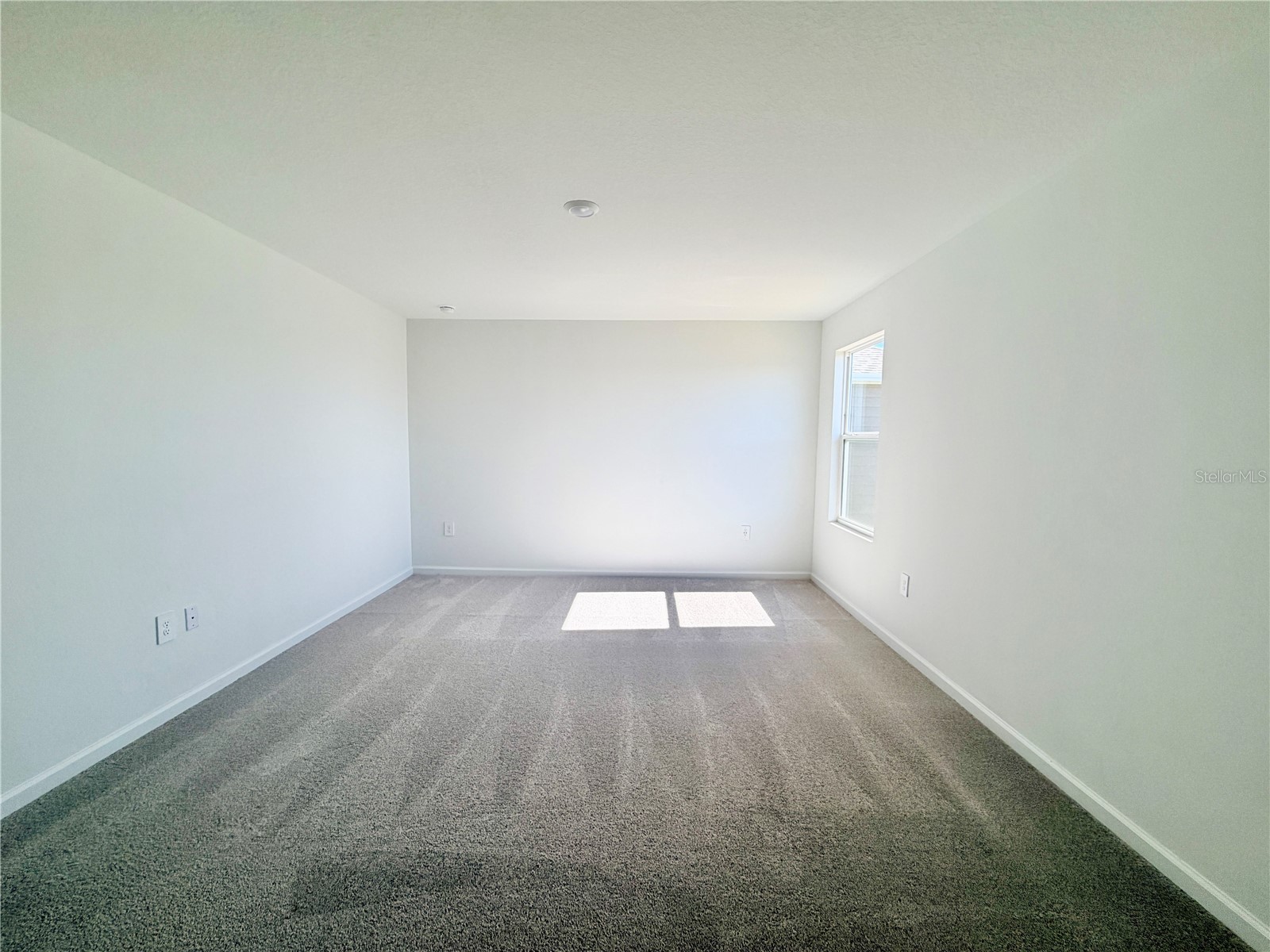 3666 Hardman Drive Lake Wales FL 33853 O6376807 image22