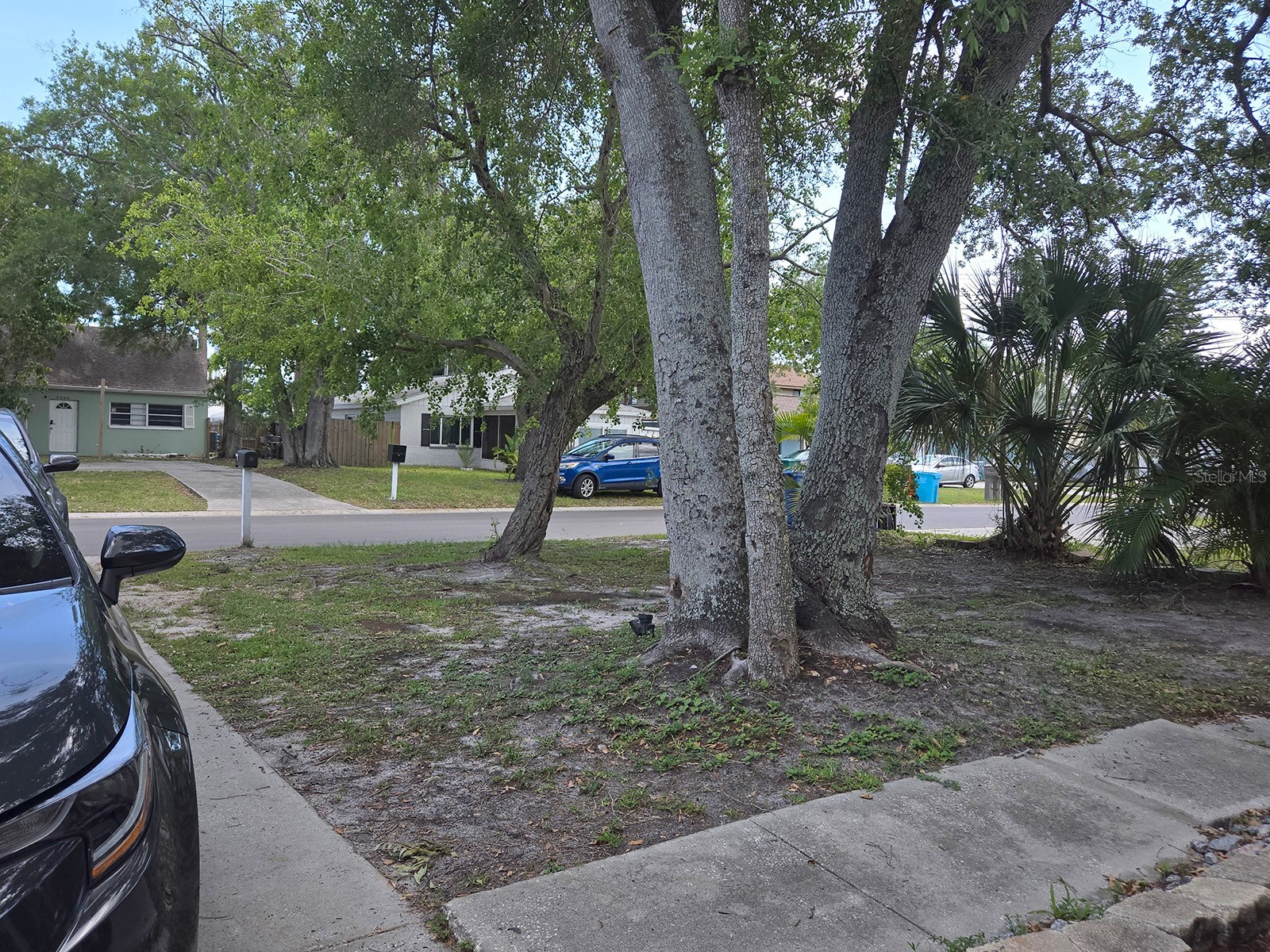 3667 135th Avenue Largo FL 33771 TB8511736 image13