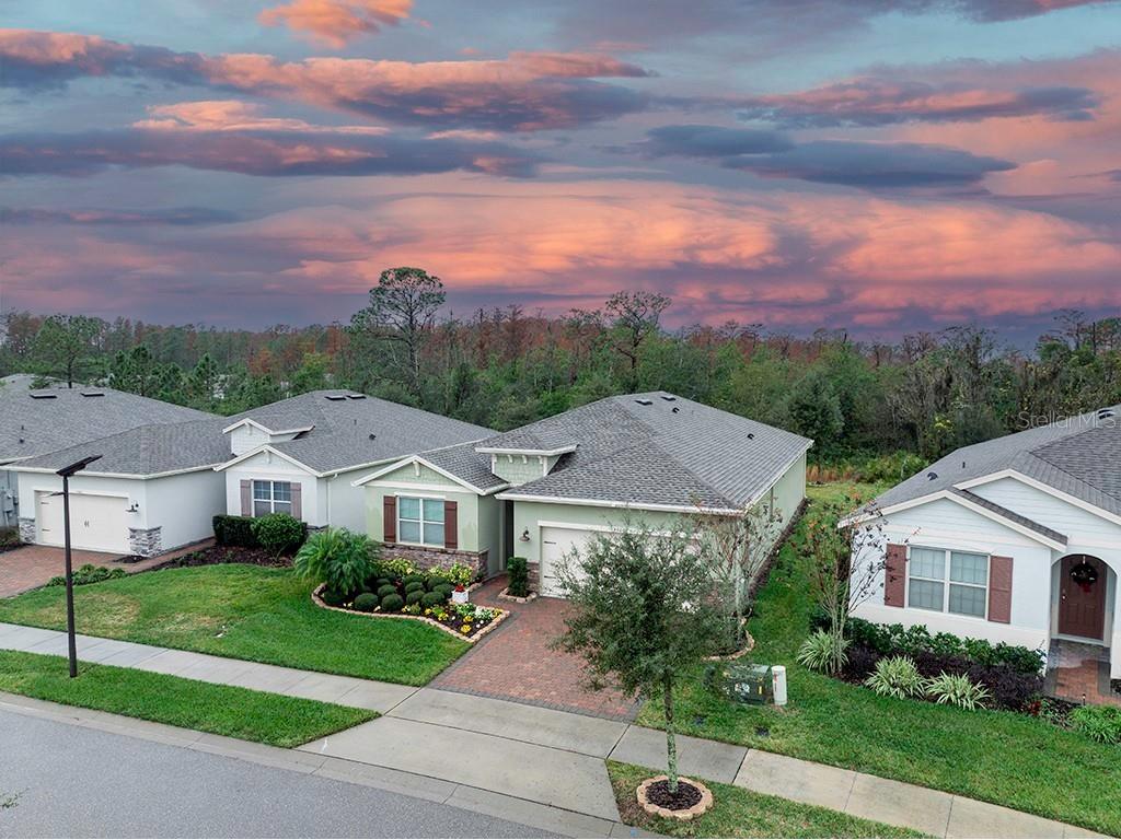 3667 Beautyberry Way Clermont FL 34714 O6166364 image1