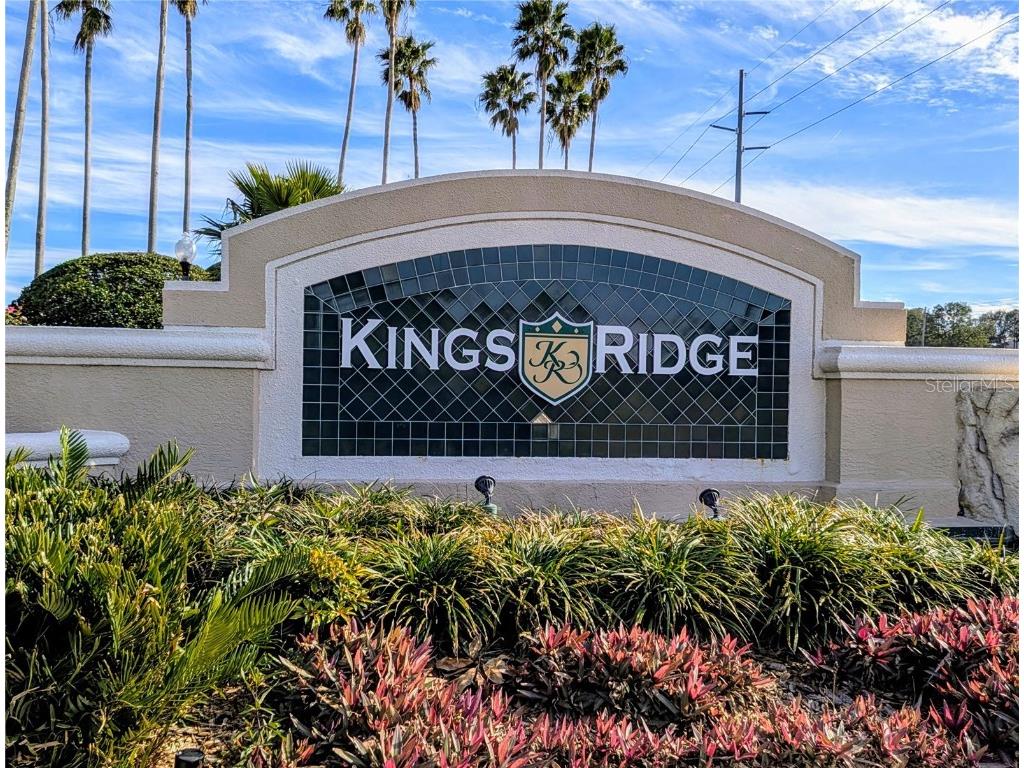 3667 Kingswood Court Clermont FL 34711 O6275507 image28