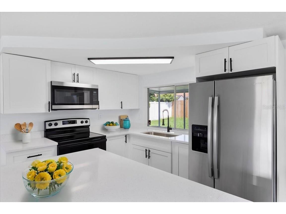 3667 Rockaway Dr Holiday FL 34691 TB8416160 image2