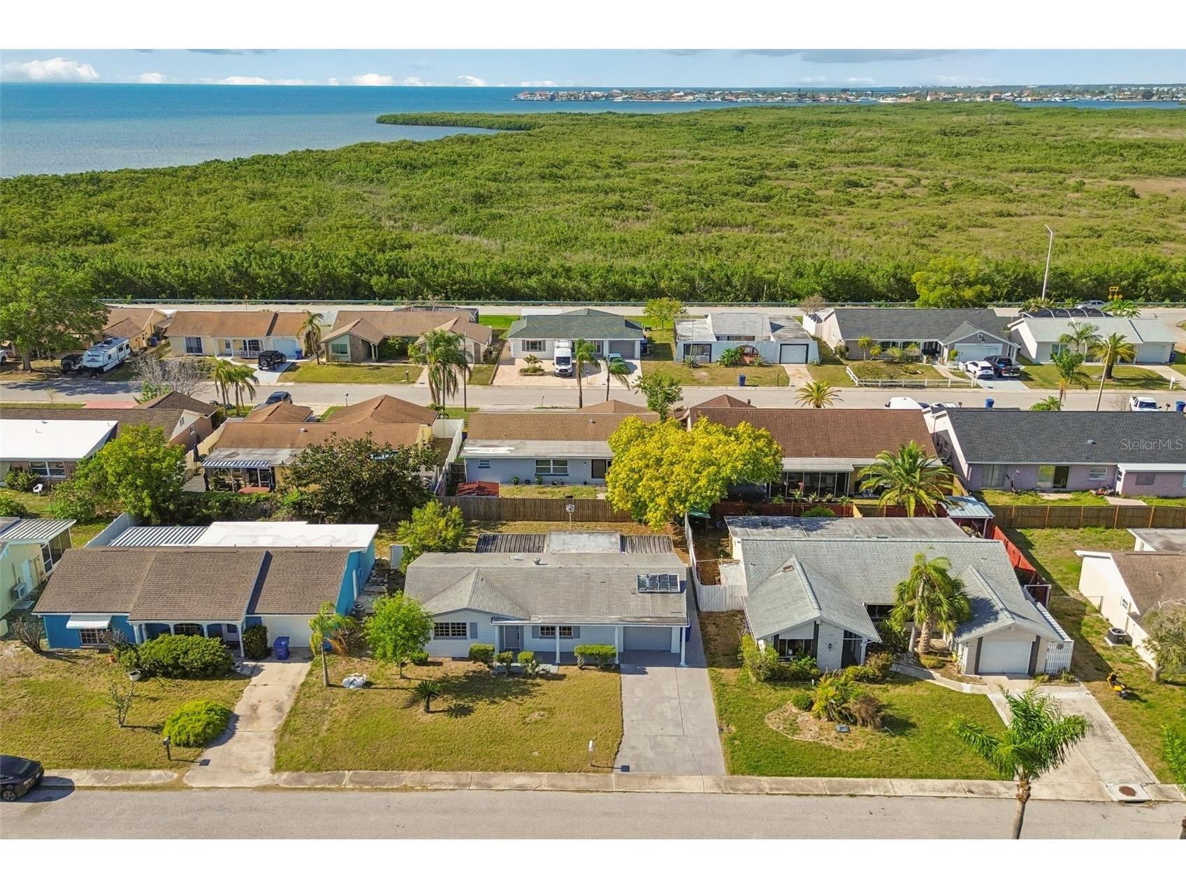 3667 Rockaway Drive Holiday FL 34691 TB8506297 image51