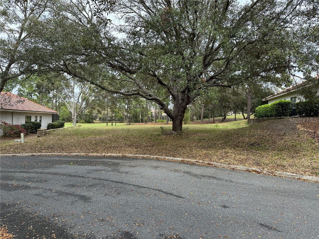 3667 W Treyburn Path Lecanto FL 34461 V4942482 image1