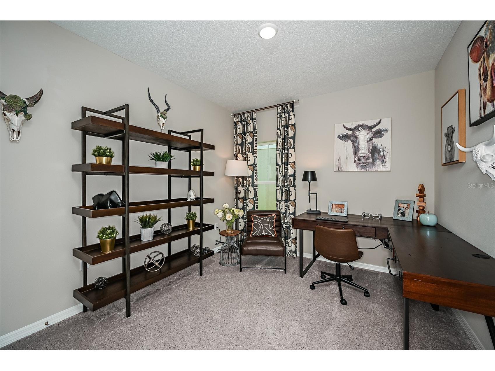 36671 Sagemoor Drive Zephyrhills FL 33541 TB8473420 image11