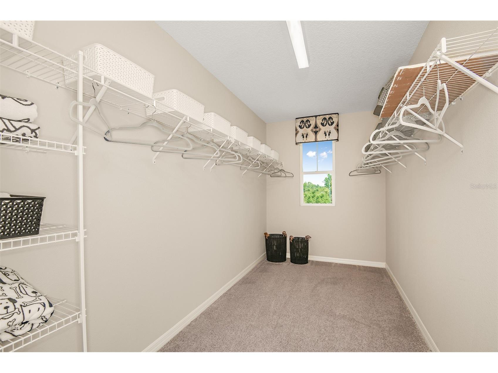 36671 Sagemoor Drive Zephyrhills FL 33541 TB8473420 image18