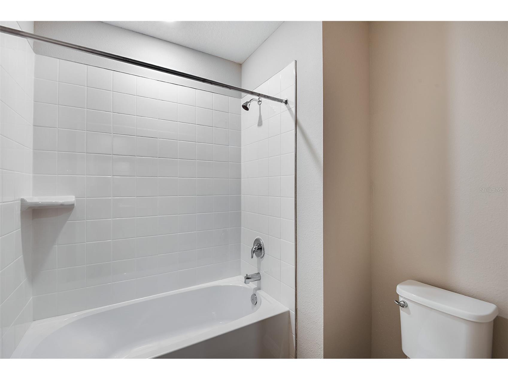 36672 Sagemoor Drive Zephyrhills FL 33541 TB8489784 image21