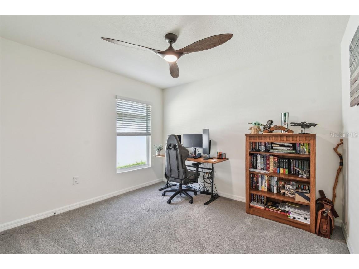 36673 Spanish Rose Drive Dade City FL 33525 TB8384964 image27