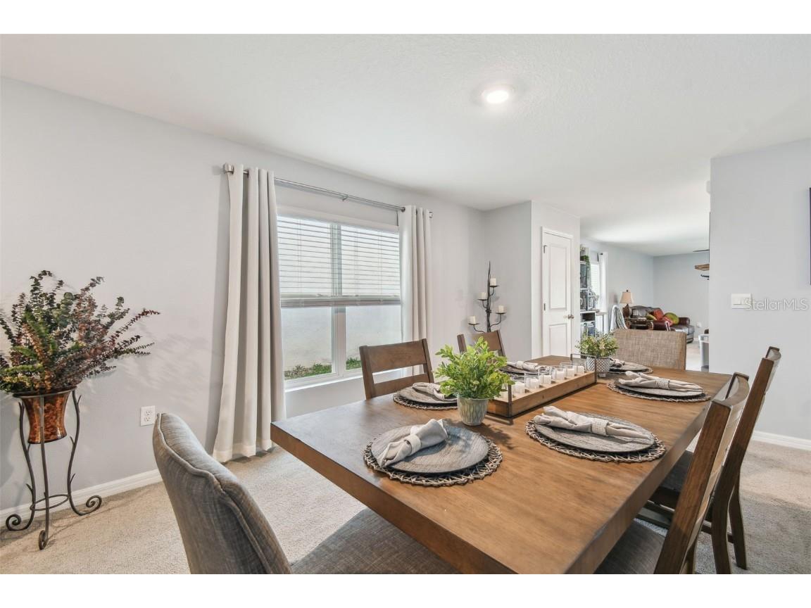 36673 Spanish Rose Drive Dade City FL 33525 TB8384964 image43