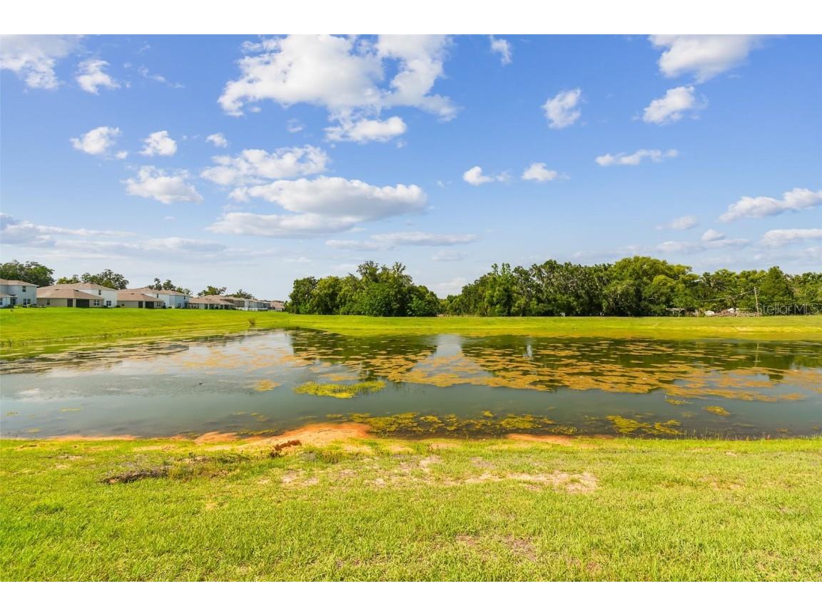 36673 Spanish Rose Drive Dade City FL 33525 TB8384964 image5