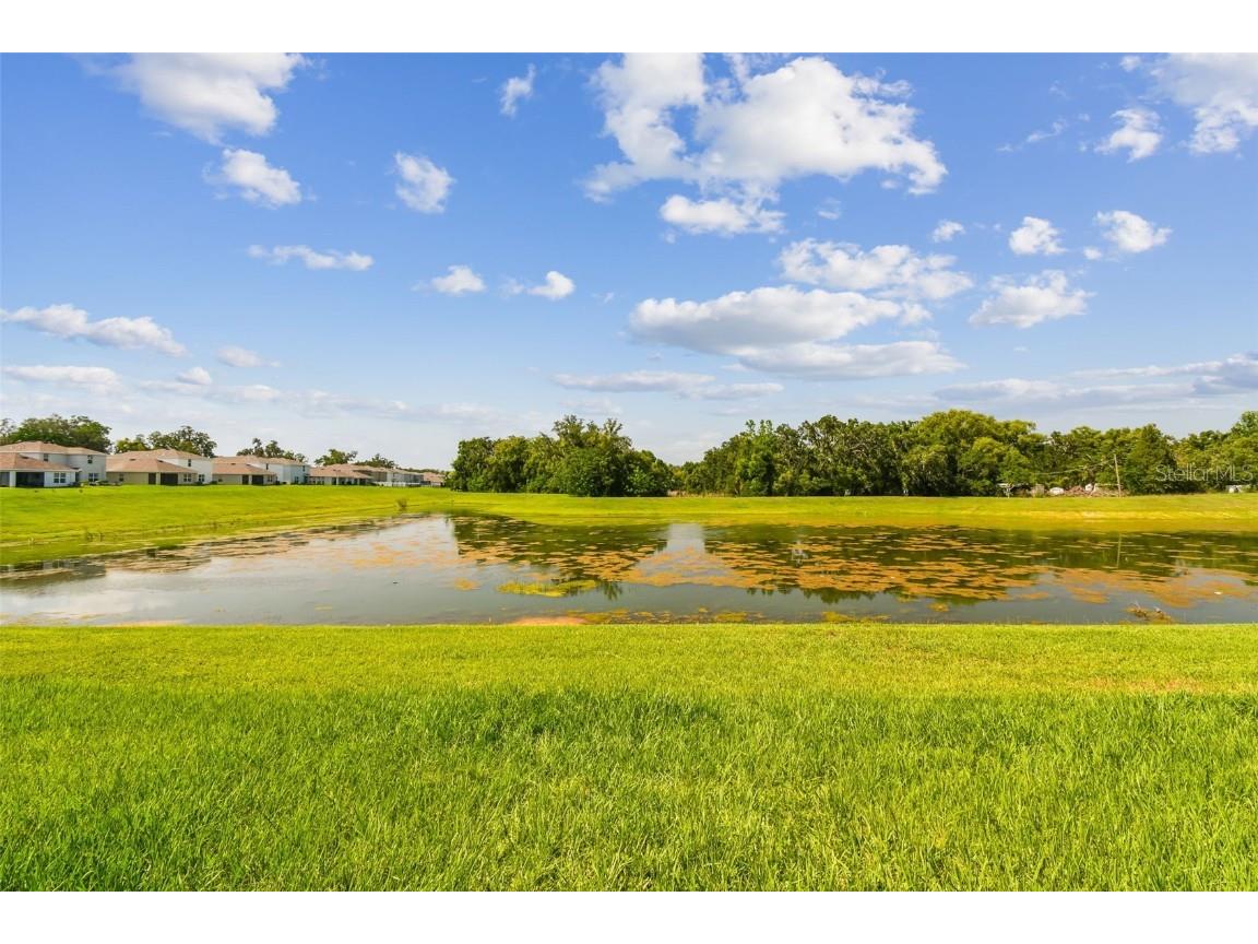 36673 Spanish Rose Drive Dade City FL 33525 TB8384964 image59