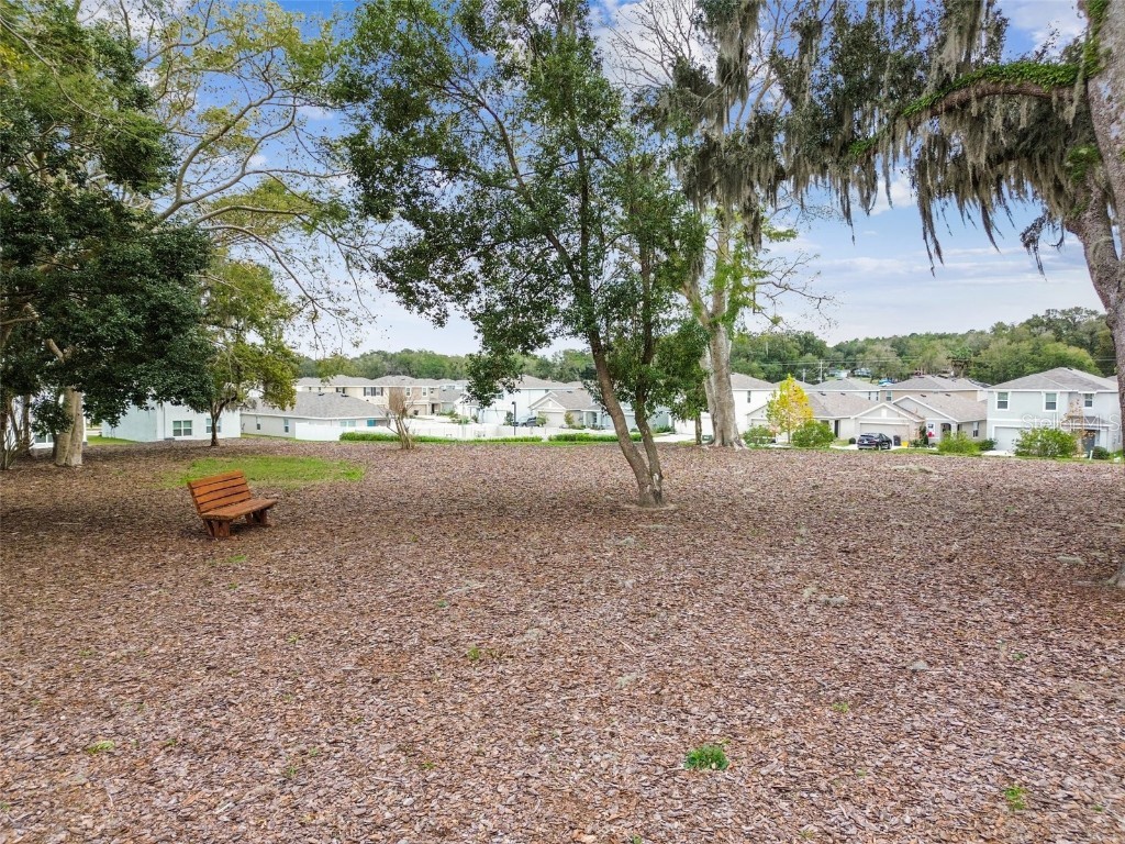 36673 Spanish Rose Drive Dade City FL 33525 TB8384964 image84