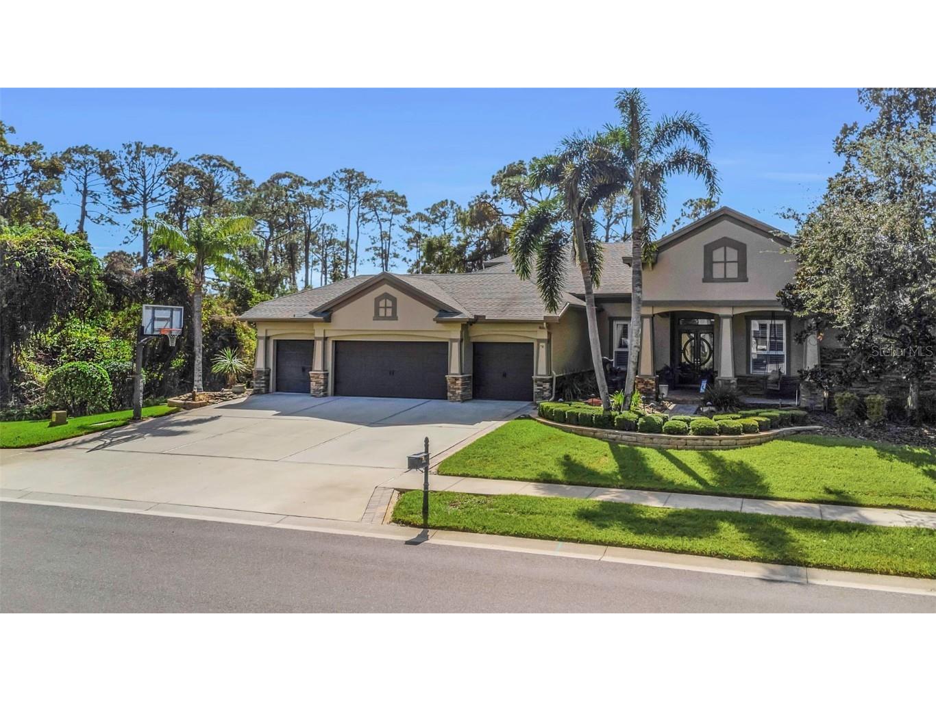 3668 Janus Way Palm Harbor FL 34685 TB8356294 image1