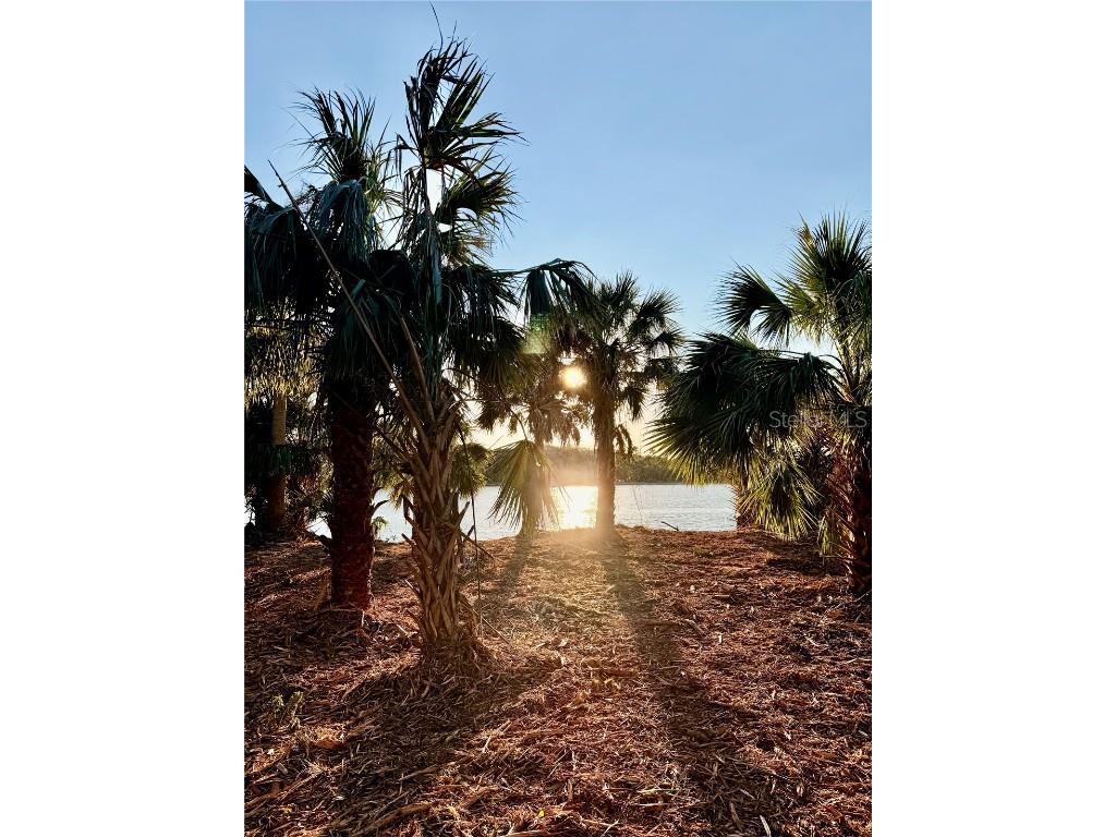 3668 John Anderson Dr Ormond Beach FL 32176 - INTRACOASTAL WATERWAY FC308325 image15