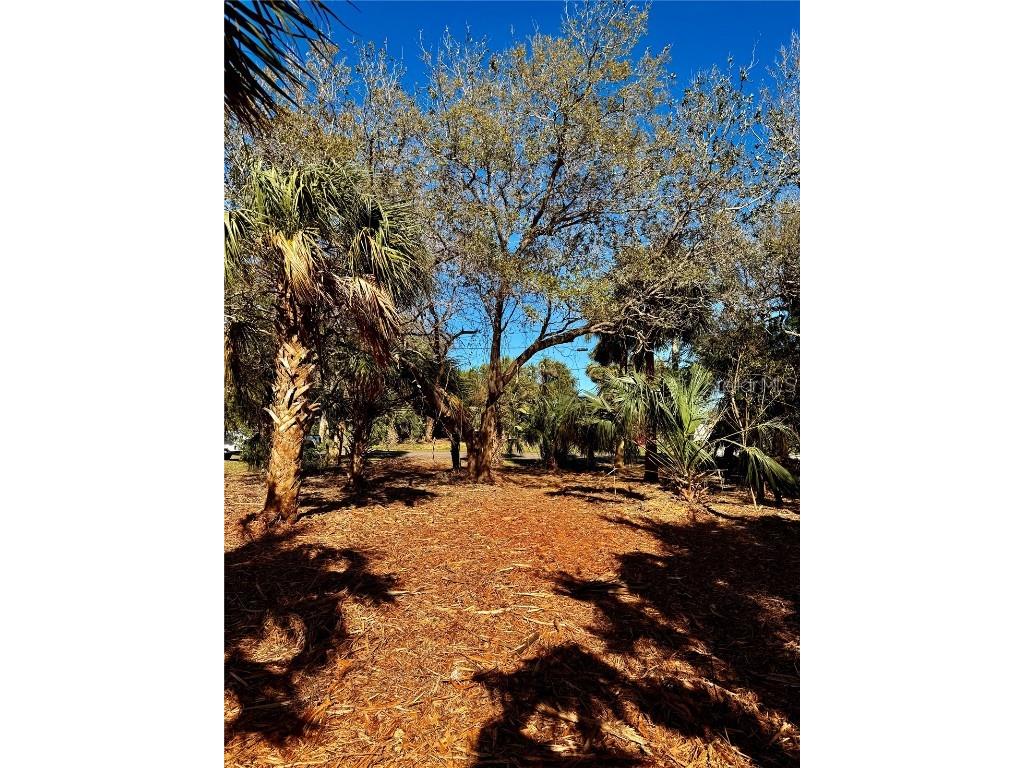 3668 John Anderson Dr Ormond Beach FL 32176 - INTRACOASTAL WATERWAY FC308325 image20