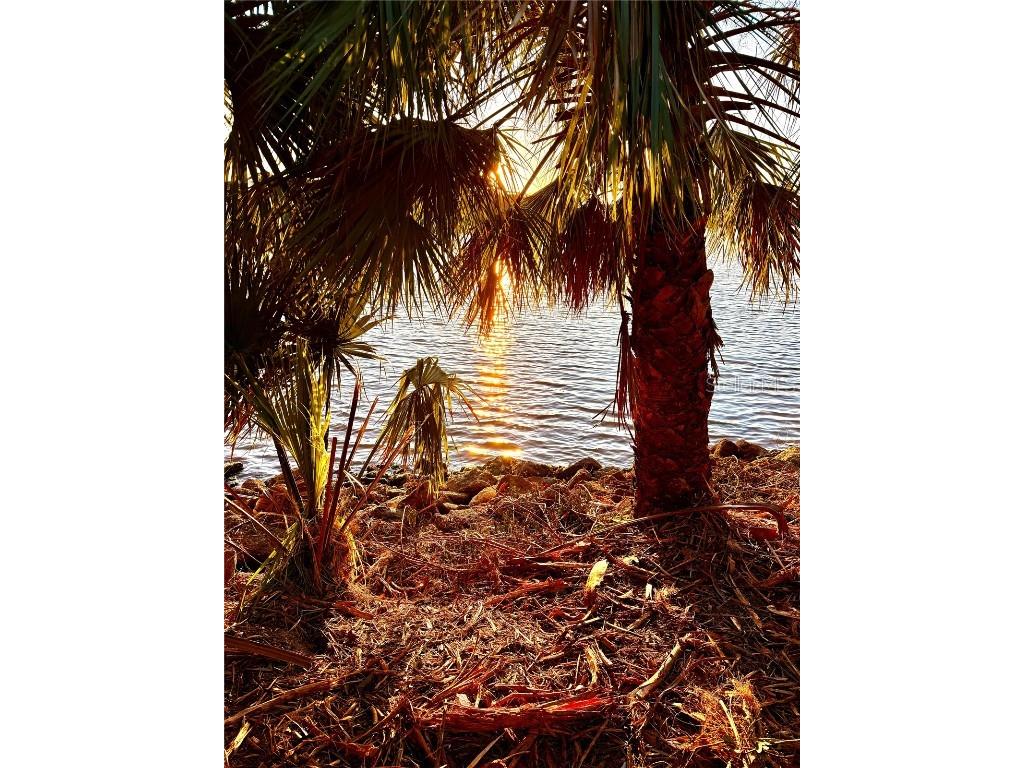 3668 John Anderson Dr Ormond Beach FL 32176 - INTRACOASTAL WATERWAY FC308325 image22