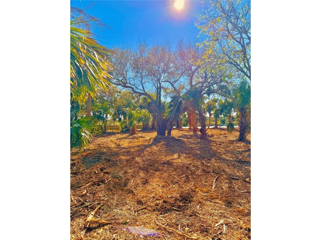 3668 John Anderson Dr Ormond Beach FL 32176 - INTRACOASTAL WATERWAY FC308325 image25