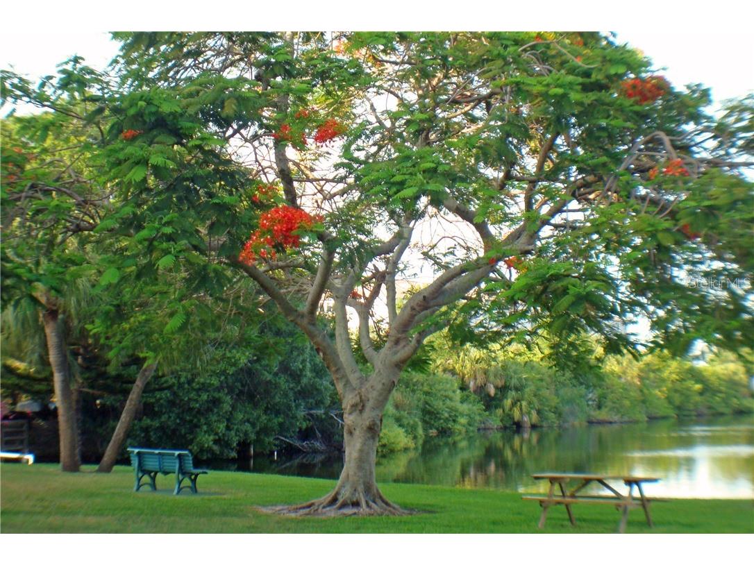 3668 Lake Bayshore Drive #K-325 Bradenton FL 34205 A4696279 image26
