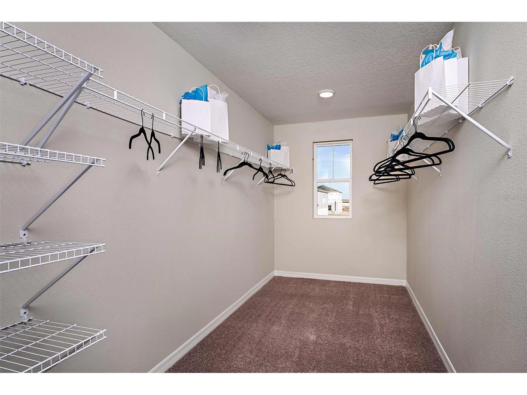 36680 Sagemoor Drive Zephyrhills FL 33541 TB8473384 image22