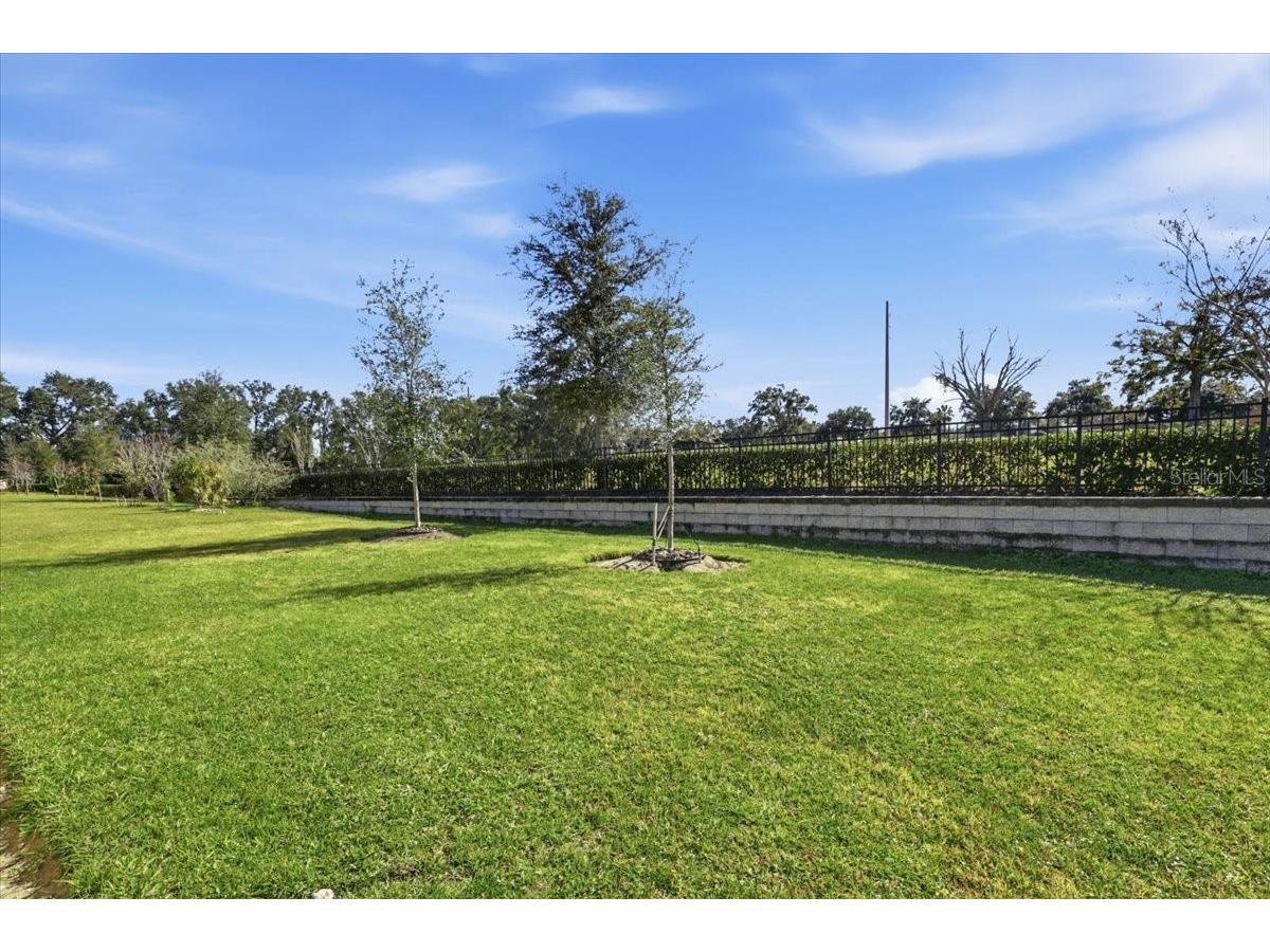 3669 Rory Oak Circle Apopka FL 32703 O6374283 image24