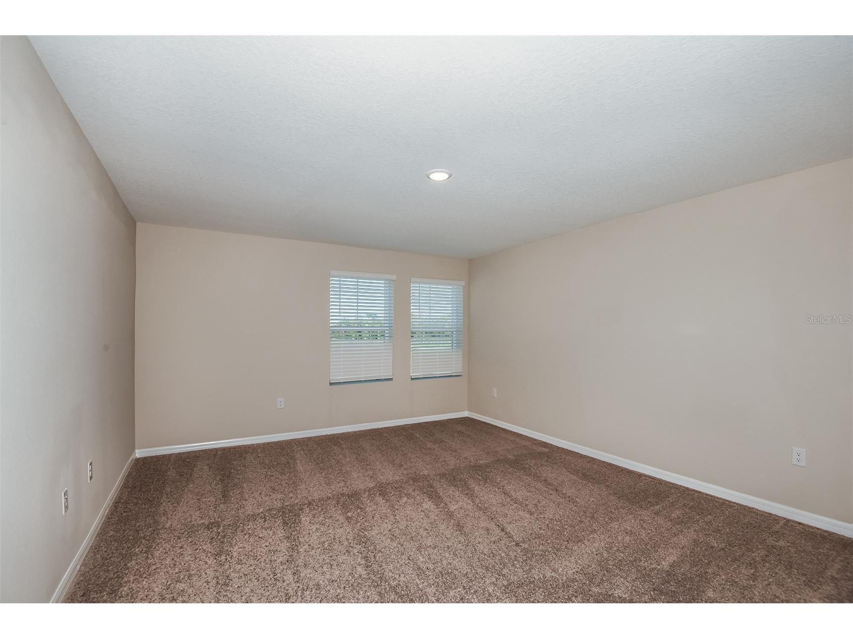 36696 Sagemoor Drive Zephyrhills FL 33541 TB8468190 image13