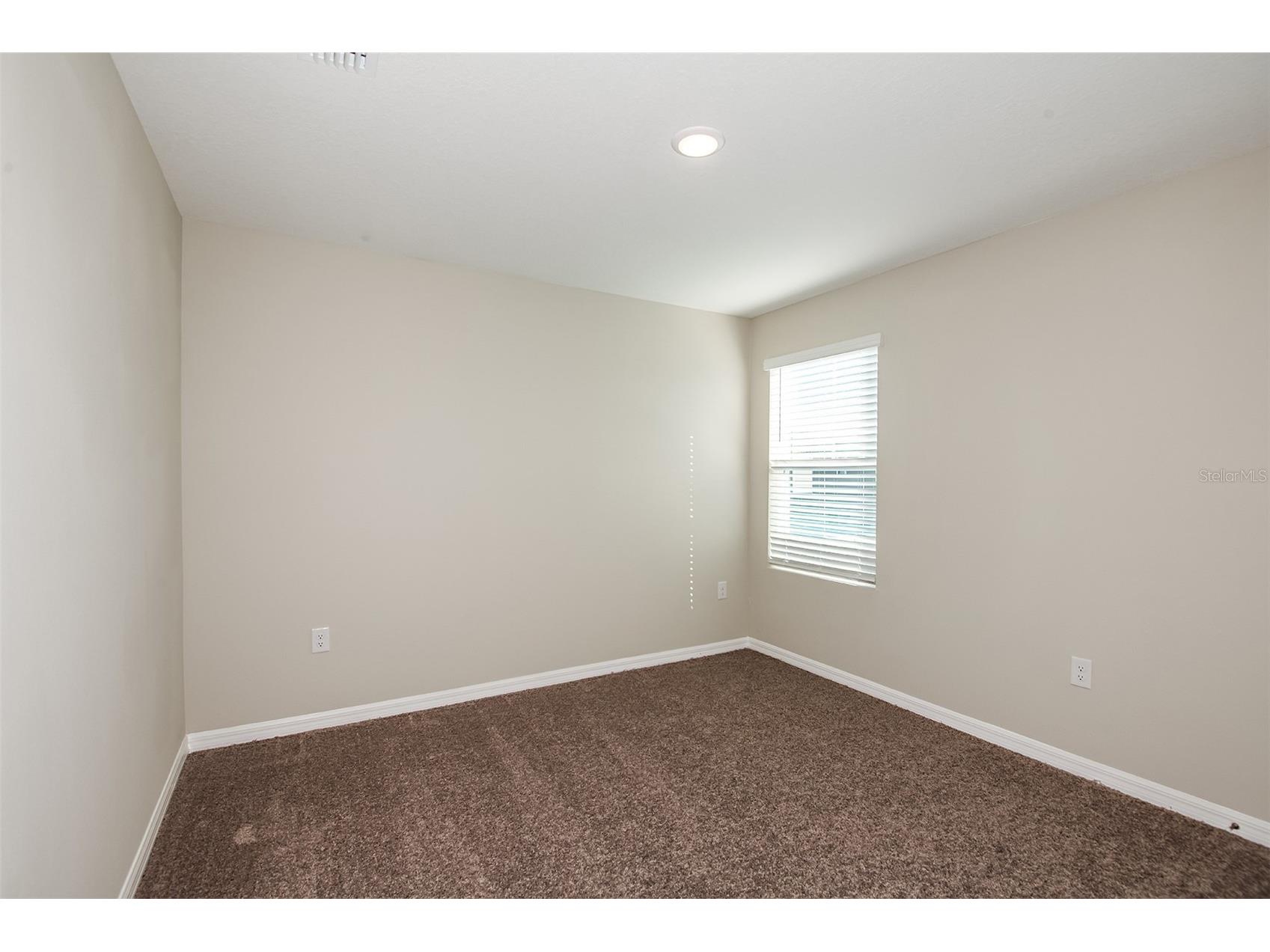 36696 Sagemoor Drive Zephyrhills FL 33541 TB8468190 image21