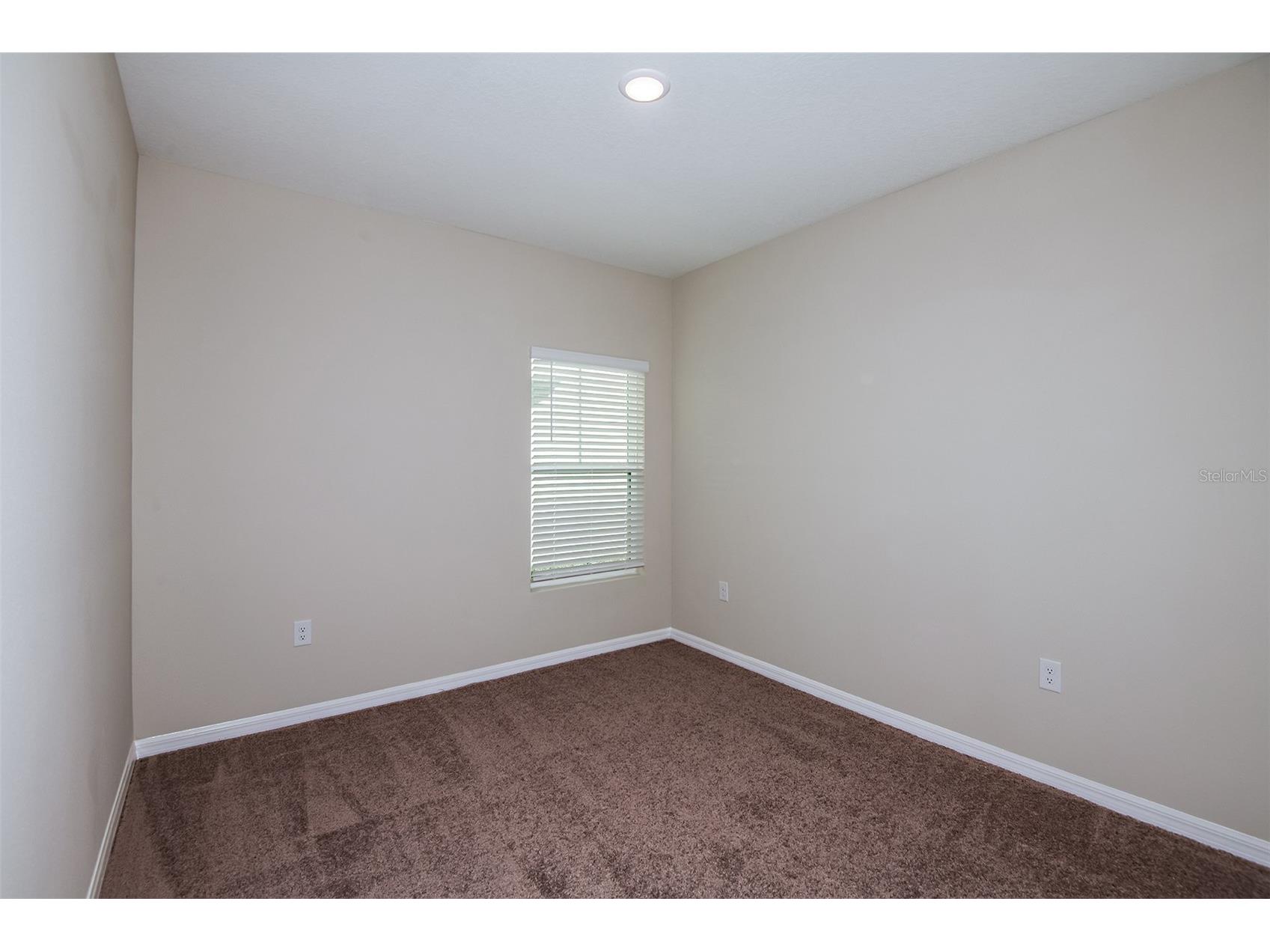 36696 Sagemoor Drive Zephyrhills FL 33541 TB8468190 image7